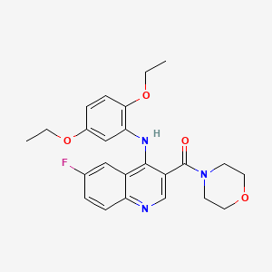 molecular formula C24H26FN3O4 B2407133 （4-((2,5-二乙氧基苯基)氨基)-6-氟喹啉-3-基)(吗啉代)甲酮 CAS No. 1358267-09-0