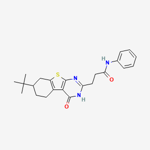molecular formula C23H27N3O2S B2407654 3-(7-tert-butyl-4-oxo-3,4,5,6,7,8-hexahydro[1]benzothieno[2,3-d]pyrimidin-2-yl)-N-phenylpropanamide CAS No. 950414-85-4