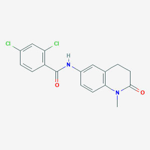 2,4-dichloro-N-(1-methyl-2-oxo-1,2,3,4-tetrahydroquinolin-6-yl)benzamide