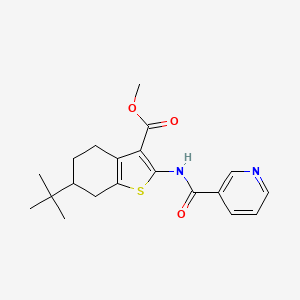 Methyl 6-tert-butyl-2-[(pyridin-3-ylcarbonyl)amino]-4,5,6,7-tetrahydro-1-benzothiophene-3-carboxylate