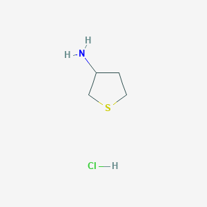 molecular formula C4H10ClNS B2408728 硫代环己烷-3-胺盐酸盐 CAS No. 89123-28-4
