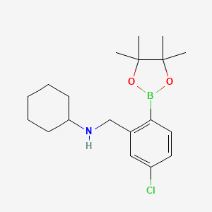 molecular formula C19H29BClNO2 B2408935 4-氯-2-(N-环己基氨基甲基)苯硼酸, 频哪醇酯 CAS No. 2096340-23-5