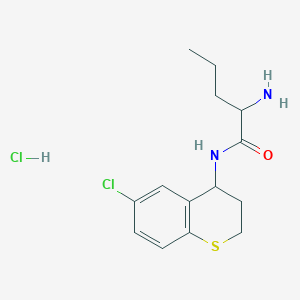 molecular formula C14H20Cl2N2OS B2409949 2-amino-N-(6-chloro-3,4-dihydro-2H-1-benzothiopyran-4-yl)pentanamide hydrochloride CAS No. 1423024-29-6
