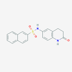 molecular formula C19H16N2O3S B2410270 N-(2-oxo-1,2,3,4-tetrahydroquinolin-6-yl)naphthalene-2-sulfonamide CAS No. 921916-28-1