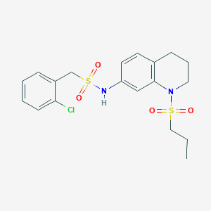 molecular formula C19H23ClN2O4S2 B2410484 1-(2-chlorophenyl)-N-(1-(propylsulfonyl)-1,2,3,4-tetrahydroquinolin-7-yl)methanesulfonamide CAS No. 946227-18-5