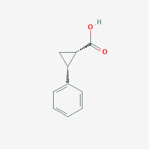 molecular formula C10H10O2 B2410657 (1S,2R)-2-Phenylcyclopropanecarboxylic acid CAS No. 23020-18-0; 939-89-9