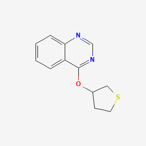 molecular formula C12H12N2OS B2410828 4-(Thiolan-3-yloxy)quinazoline CAS No. 2176069-37-5