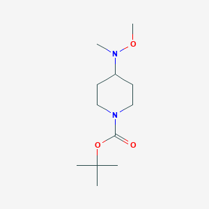 Tert-butyl 4-[methoxy(methyl)amino]piperidine-1-carboxylate