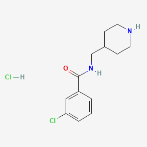 molecular formula C13H18Cl2N2O B2412123 3-氯-N-(4-哌啶甲基)苯甲酰胺盐酸盐 CAS No. 1584066-83-0