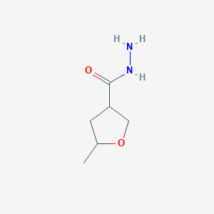 5-Methyloxolane-3-carbohydrazide