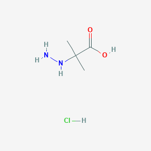 molecular formula C4H11ClN2O2 B2413089 2-Hydrazinyl-2-methylpropanoic acid;hydrochloride CAS No. 2567495-73-0