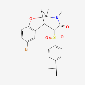 molecular formula C23H26BrNO4S B2414443 8-bromo-5-((4-(tert-butyl)phenyl)sulfonyl)-2,3-dimethyl-5,6-dihydro-2H-2,6-methanobenzo[g][1,3]oxazocin-4(3H)-one CAS No. 1052609-86-5
