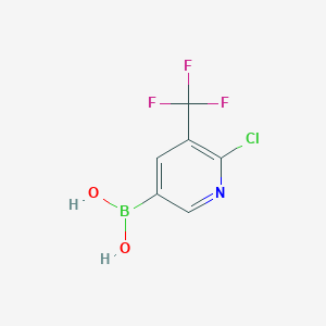 molecular formula C6H4BClF3NO2 B2415152 2-氯-3-(三氟甲基)吡啶-5-硼酸 CAS No. 2096336-32-0