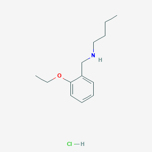 molecular formula C13H22ClNO B2416502 盐酸丁基[(2-乙氧苯基)甲基]胺 CAS No. 1052406-62-8