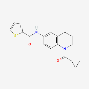 molecular formula C18H18N2O2S B2416589 N-[1-(环丙烷羰基)-3,4-二氢-2H-喹啉-6-基]噻吩-2-甲酰胺 CAS No. 899964-17-1