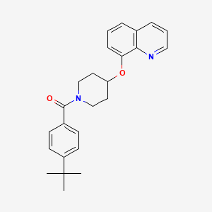 (4-(Tert-butyl)phenyl)(4-(quinolin-8-yloxy)piperidin-1-yl)methanone