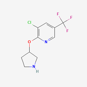 3-Chloro-2-(pyrrolidin-3-yloxy)-5-(trifluoromethyl)pyridine