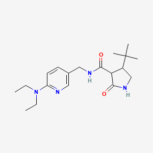 molecular formula C19H30N4O2 B2418946 4-tert-ブチル-N-{[6-(ジエチルアミノ)ピリジン-3-イル]メチル}-2-オキソピロリジン-3-カルボキサミド CAS No. 2097925-26-1