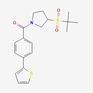molecular formula C19H23NO3S2 B2419011 (3-(Tert-butylsulfonyl)pyrrolidin-1-yl)(4-(thiophen-2-yl)phenyl)methanone CAS No. 1797278-87-5