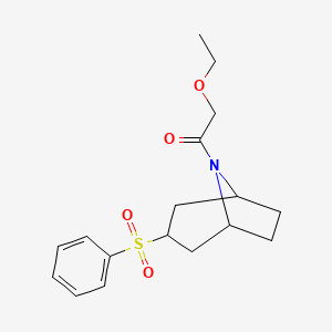 molecular formula C17H23NO4S B2419074 2-ethoxy-1-((1R,5S)-3-(phenylsulfonyl)-8-azabicyclo[3.2.1]octan-8-yl)ethanone CAS No. 1705484-12-3