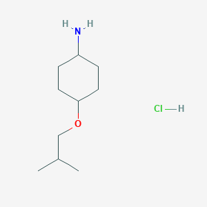 molecular formula C10H22ClNO B2419171 trans 4-Isobutoxycyclohexanamine hydrochloride CAS No. 2119574-66-0