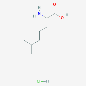 molecular formula C8H18ClNO2 B2419336 2-Amino-6-methylheptanoic acid hydrochloride CAS No. 2095409-38-2