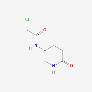 molecular formula C7H11ClN2O2 B2419642 2-氯-N-(6-氧代哌啶-3-基)乙酰胺 CAS No. 1341844-39-0