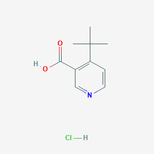 4-Tert-butylpyridine-3-carboxylic acid hydrochloride