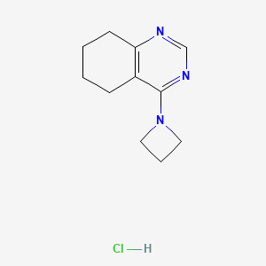 molecular formula C11H16ClN3 B2420788 4-(氮杂环丁-1-基)-5,6,7,8-四氢喹唑啉盐酸盐 CAS No. 2175884-34-9