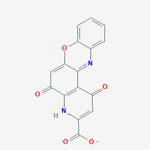 molecular formula C16H7N2O5- B242181 1-hydroxy-5-oxo-5H-pyrido[3,2-a]phenoxazine-3-carboxylate 