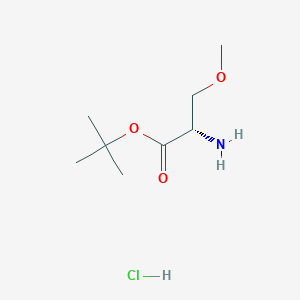 (S)-tert-Butyl 2-amino-3-methoxypropanoate hydrochloride