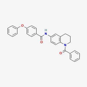 N-(1-benzoyl-1,2,3,4-tetrahydroquinolin-6-yl)-4-phenoxybenzamide
