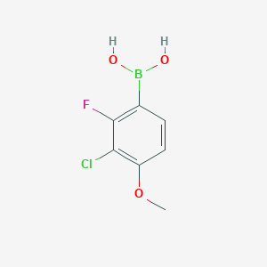 3-Chloro-2-fluoro-4-methoxyphenylboronic acid