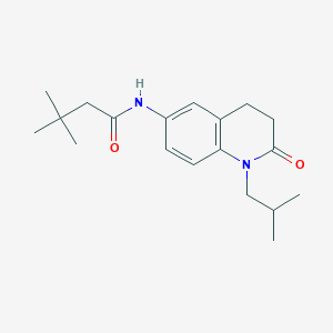 molecular formula C19H28N2O2 B2427848 N-(1-异丁基-2-氧代-1,2,3,4-四氢喹啉-6-基)-3,3-二甲基丁酰胺 CAS No. 941911-21-3
