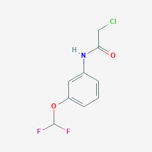 2-chloro-N-[3-(difluoromethoxy)phenyl]acetamide