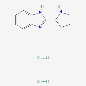 molecular formula C11H15Cl2N3 B2429001 2-pyrrolidin-2-yl-1H-benzimidazole dihydrochloride CAS No. 1049751-43-0; 59592-35-7
