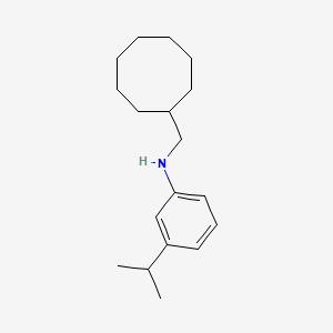 molecular formula C18H29N B2429327 N-(Cyclooctylmethyl)-3-propan-2-ylaniline CAS No. 1397185-77-1