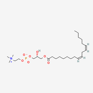 1-(9Z,12Z-octadecadienoyl)-sn-glycero-3-phosphocholine
