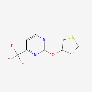 2-(Thiolan-3-yloxy)-4-(trifluoromethyl)pyrimidine