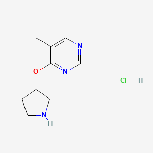 molecular formula C9H14ClN3O B2430265 5-甲基-4-(吡咯烷-3-氧基)嘧啶盐酸盐 CAS No. 1713163-97-3