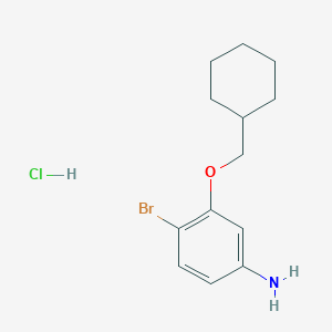 molecular formula C13H19BrClNO B2430313 4-Bromo-3-(cyclohexylmethoxy)aniline hydrochloride CAS No. 2094148-33-9