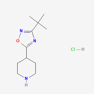 4-(3-tert-Butyl-1,2,4-oxadiazol-5-yl)piperidine hydrochloride