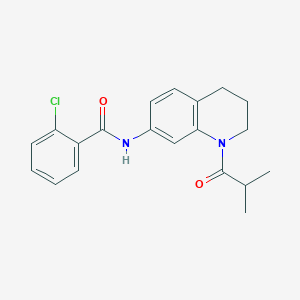 B2432836 2-chloro-N-(1-isobutyryl-1,2,3,4-tetrahydroquinolin-7-yl)benzamide CAS No. 1005294-27-8