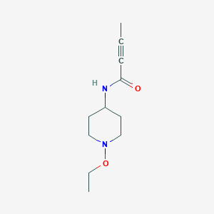 molecular formula C11H18N2O2 B2433105 N-(1-Ethoxypiperidin-4-yl)but-2-ynamide CAS No. 2411257-92-4