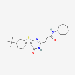 molecular formula C24H35N3O2S B2433351 3-(7-(tert-ブチル)-4-オキソ-3,4,5,6,7,8-ヘキサヒドロベンゾ[4,5]チエノ[2,3-d]ピリミジン-2-イル)-N-シクロヘプチルプロパンアミド CAS No. 1031679-79-4