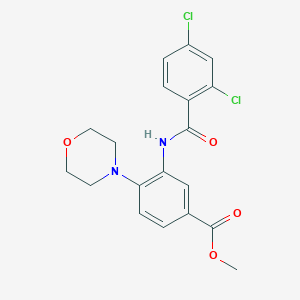 molecular formula C19H18Cl2N2O4 B243410 Methyl 3-[(2,4-dichlorobenzoyl)amino]-4-morpholin-4-ylbenzoate 