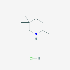 molecular formula C8H18ClN B2434432 2,5,5-三甲基哌啶；盐酸盐 CAS No. 847972-74-1