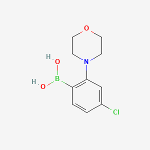 4-Chloro-2-morpholinophenylboronic acid