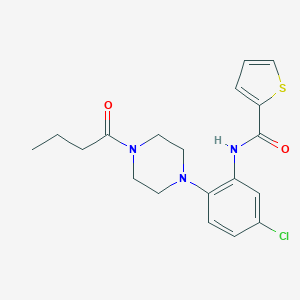 molecular formula C19H22ClN3O2S B243467 N-[2-(4-butanoylpiperazin-1-yl)-5-chlorophenyl]thiophene-2-carboxamide 