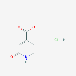 molecular formula C7H8ClNO3 B2434824 2-氧代-1H-吡啶-4-羧酸甲酯;盐酸盐 CAS No. 2309448-61-9